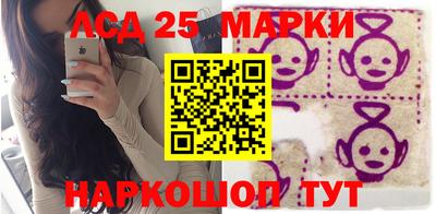 амф Кингисепп