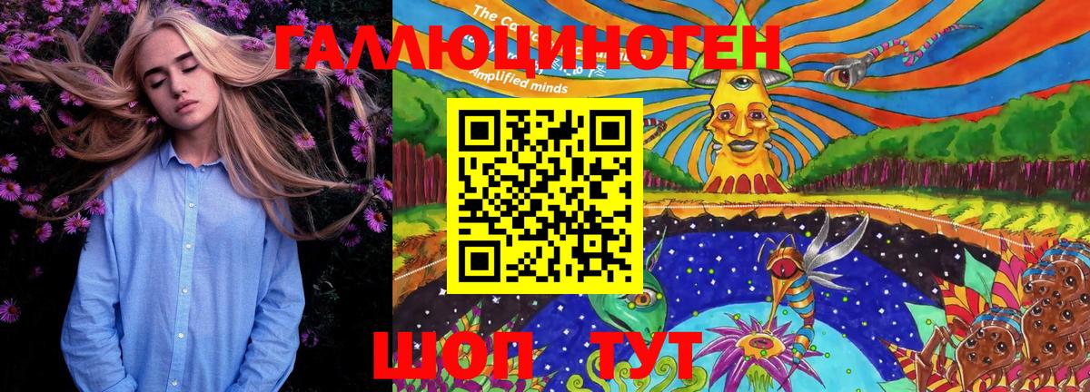 Галлюциногенные грибы Psilocybine cubensis Йошкар-Ола