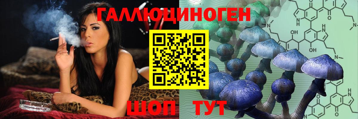 Йошкар-Ола  Галлюциногенные грибы прущие грибы  Вход с VPN 